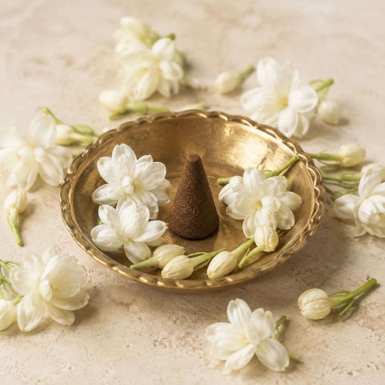 Mogra (Jasmine)